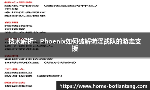 技术解析：Phoenix如何破解菏泽战队的游走支援